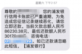 仪陇要账公司更多成功案例详情